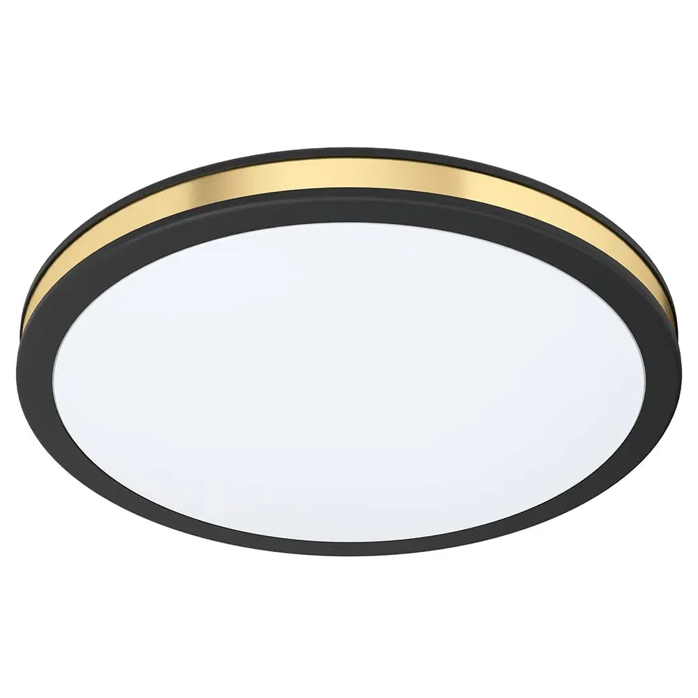 Pescaito Ceiling Light - Black, Metal image