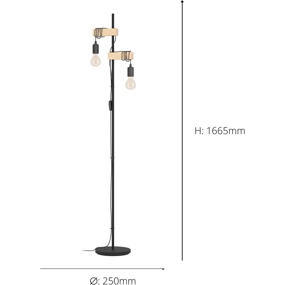 Townshend 2-Light Floor Lamp - Black, Steel