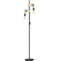 Townshend 2-Light Floor Lamp - Black, Steel