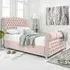Maynard Double Bed Frame with Buttons - Pink, Velvet