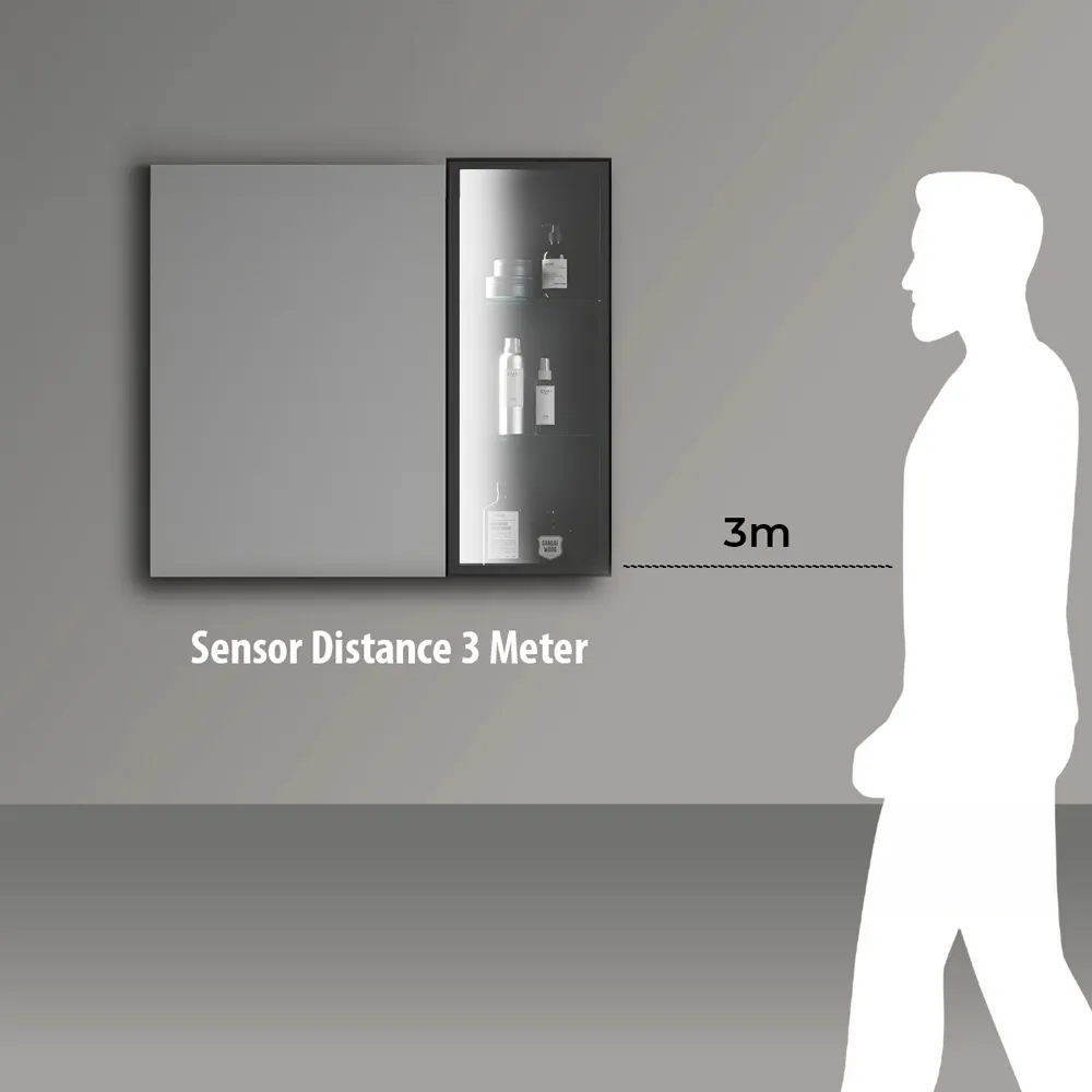 Rectangular LED Mirror Cabinet with Sensor - Black, Aluminium