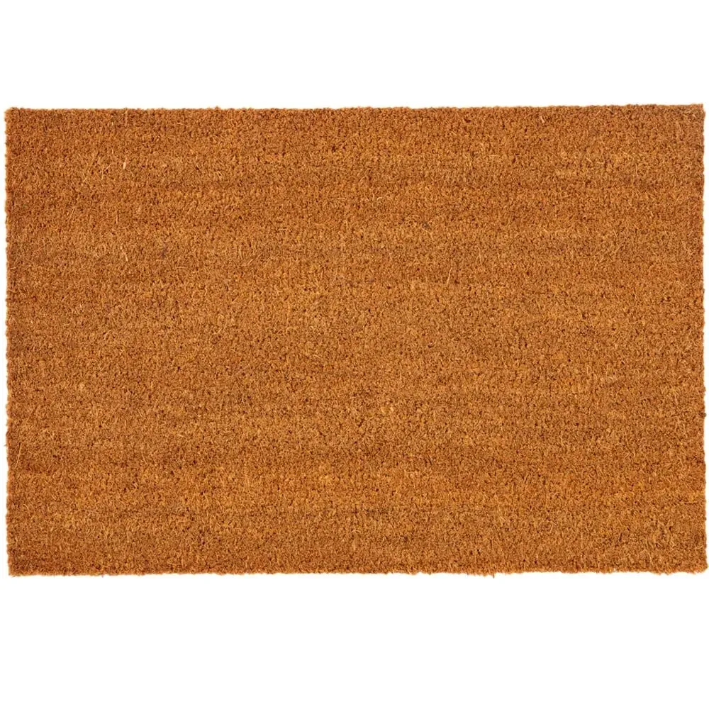 Astley Natural Coir Doormat - Brown image