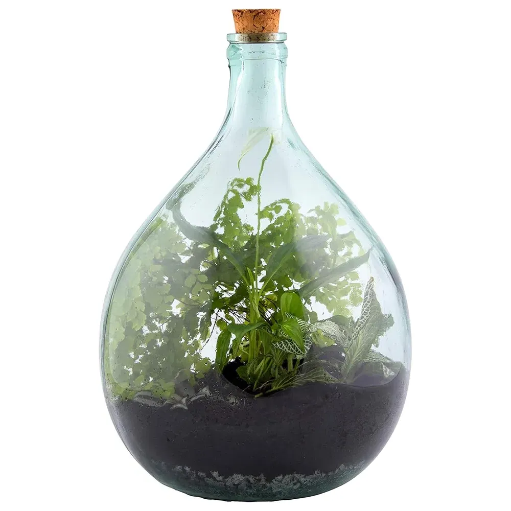 15L Glass Terrarium Bottle Set - Green