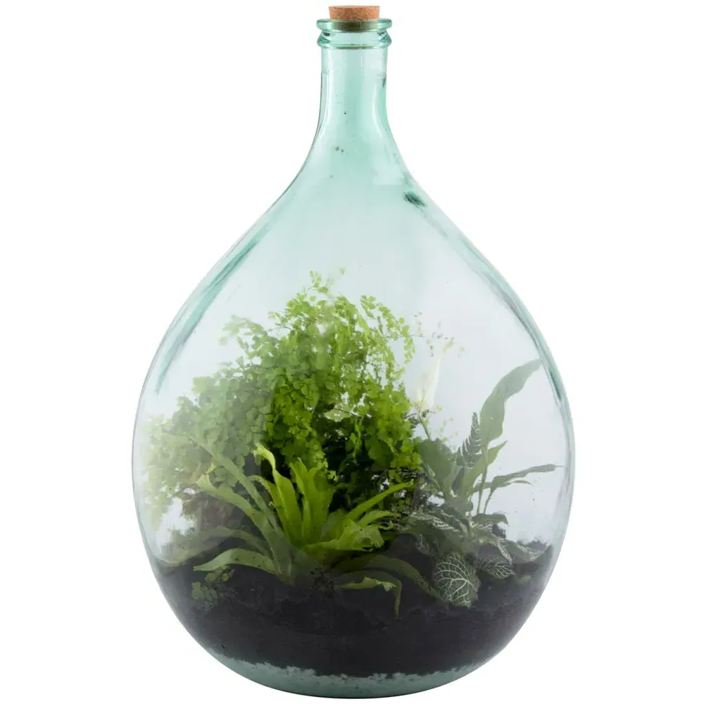 55L Glass Terrarium Bottle Set - Clear