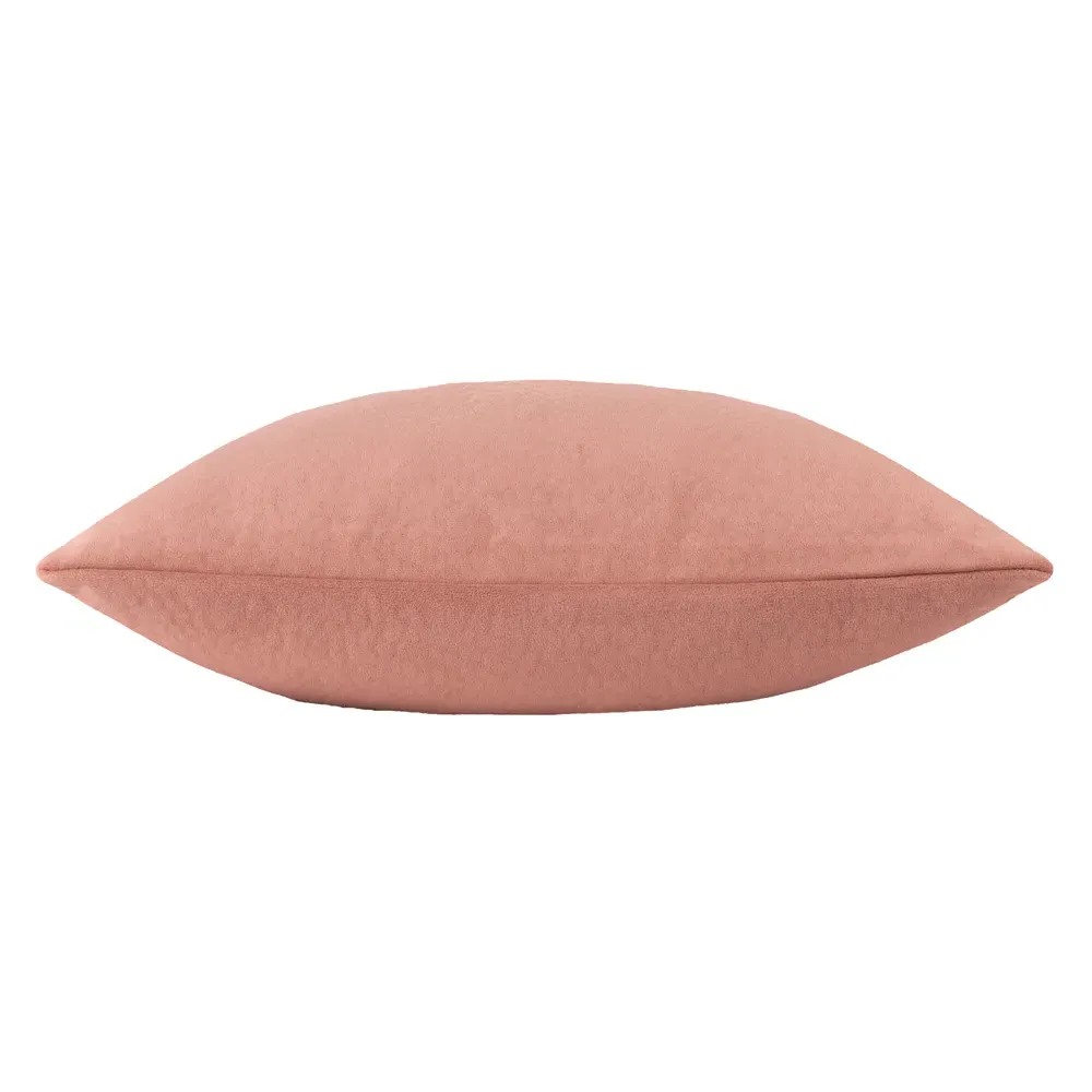Kobe Cushion - Blush, Velvet