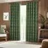 Winter Woods Animal Eyelet Curtains - Emerald, Chenille