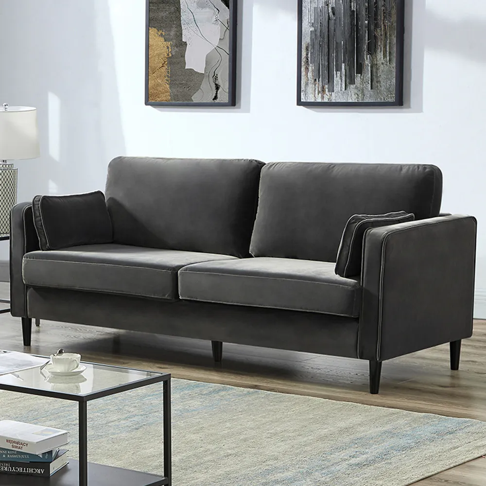 2-Seater Velvet Sofa with Armrest - Grey