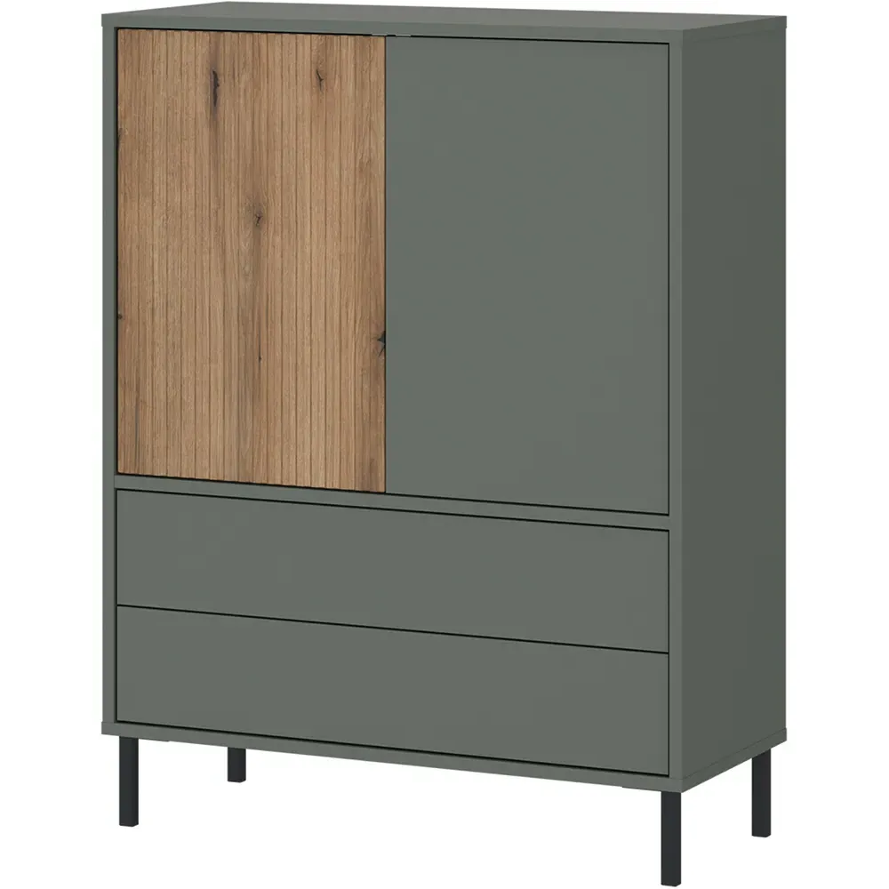 Darwin 2 Door 2 Drawer Sideboard - Green, Oak