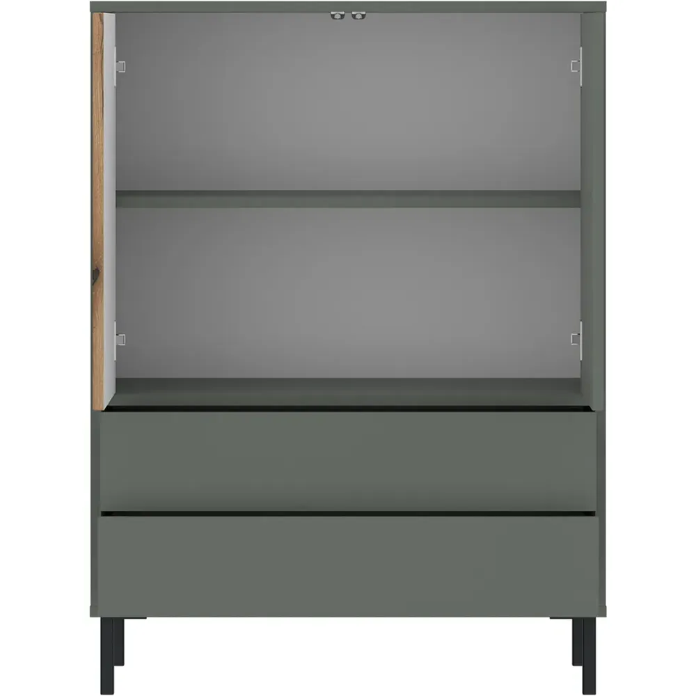 Darwin 2 Door 2 Drawer Sideboard - Green, Oak