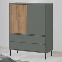 Darwin 2 Door 2 Drawer Sideboard - Green, Oak