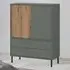 Darwin 2 Door 2 Drawer Sideboard - Green, Oak