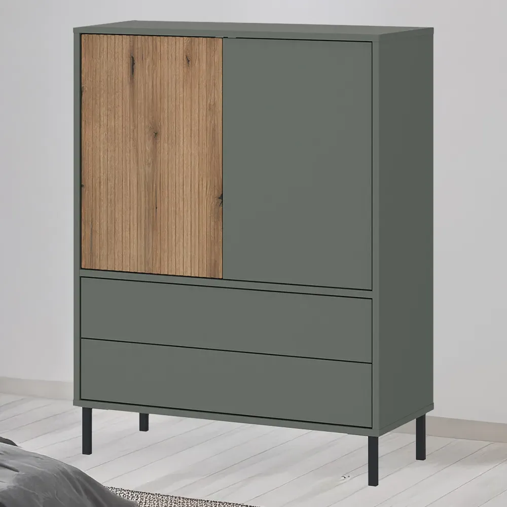 Darwin 2 Door 2 Drawer Sideboard - Green, Oak image