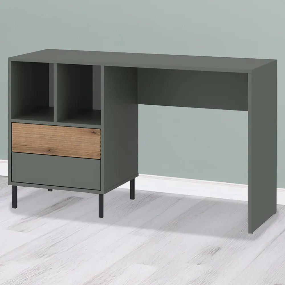 Darwin 2 Drawer Desk with Shelves - Green, Oak