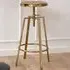 Florence Goose Height Adjustable Bar Stool - Gold, Steel