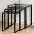 Florence Katrine Nest of Tables Set of 3 - Black, Glass