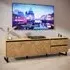 Florence Nikomedes Single Door 2 Drawer TV Unit - Oak, Black