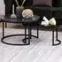 Florence Spiro Nest of Tables Set of 2 - Black, Glass