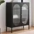 Alba 2 Door Small Cabinet - Black, Metal