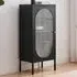 Alba Single Door Small Cabinet - Black, Metal