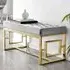 Chester Velvet Bench with Gold Legs - Grey