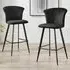 Hazel Bar Stool Set of 2 - Black, Velvet