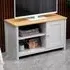 Single Door TV Unit with Storage - Grey, Oak