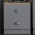 Esher 2 Drawer Bedside Table - Grey, Oak