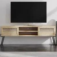Naive 2 Door Wide TV Unit with Storage - Sapphire Oak