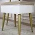 CARME Home Storage Stool with Padding - White, Velvet