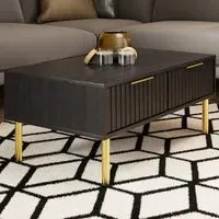 Nervata 2 Drawer Coffee Table - Black