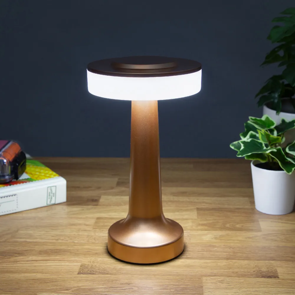 Battery Powered LED Table Lamp - Multi