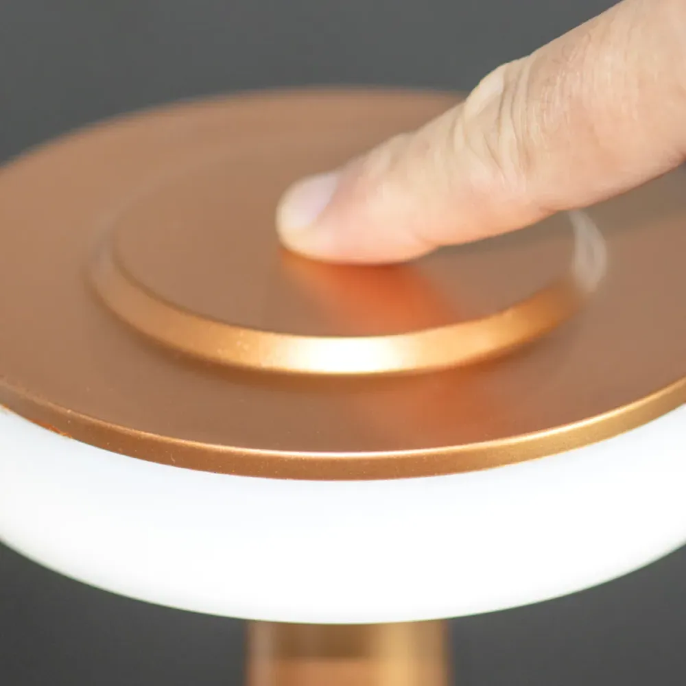 Battery Powered LED Table Lamp - Multi