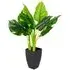 Artificial Indoor Pothos Plant in Black Pot - Green