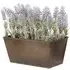 Artificial Lavender Plant in Rustic Window Box - Purple