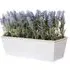 Artificial Lavender Plant in White Window Box - Purple