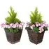 Artificial Purple Geranium Planters - Multi, Rattan