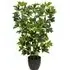 Artificial Schefflera Indoor Plant in Black Pot - Green
