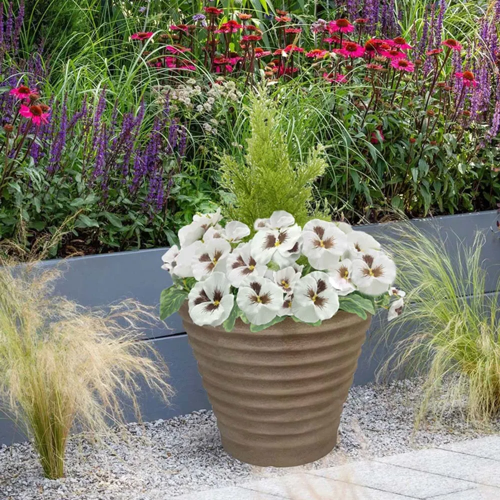 Artificial White Pansies Dark Rattan Planters 60cm 2 Pack