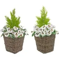 Artificial White Pansies Dark Rattan Planters 60cm 2 Pack