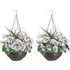 Artificial White Pansies Round Hanging Plant Baskets 2 Pack - Rattan