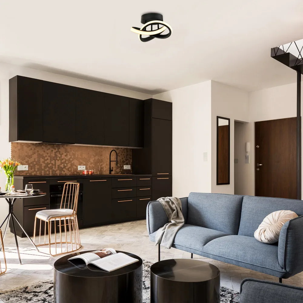 1253 Lumens LED Ceiling Light - Black, Metal