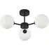 3-Light Ceiling Light with Globe Shade - Black, Glass