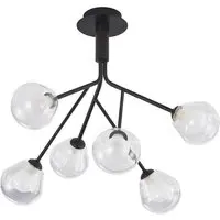 6 Arm Matte Black Ceiling Light with Glass Shade - Black
