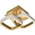 Brushed Gold Double Head LED Ceiling Light - Gold