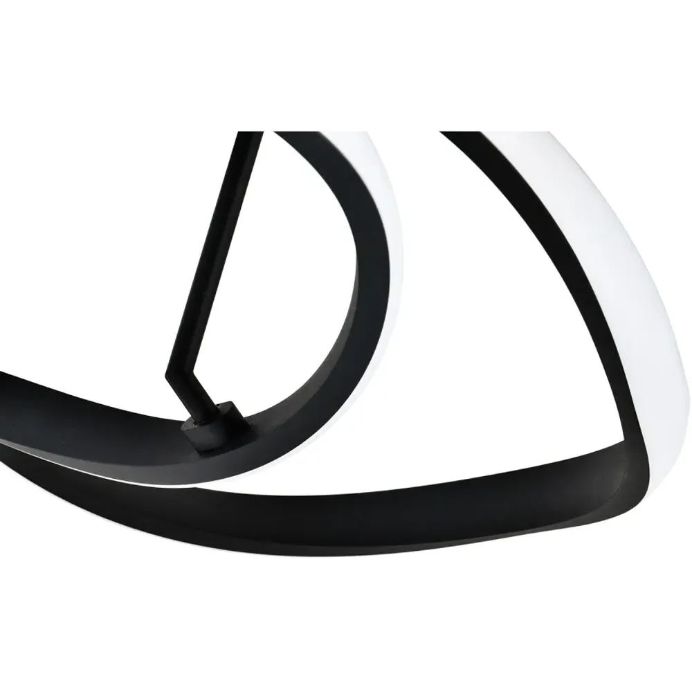 Curving Oval LED Ceiling Light - Black, Metal