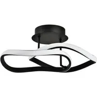 Curving Oval LED Ceiling Light - Black, Metal