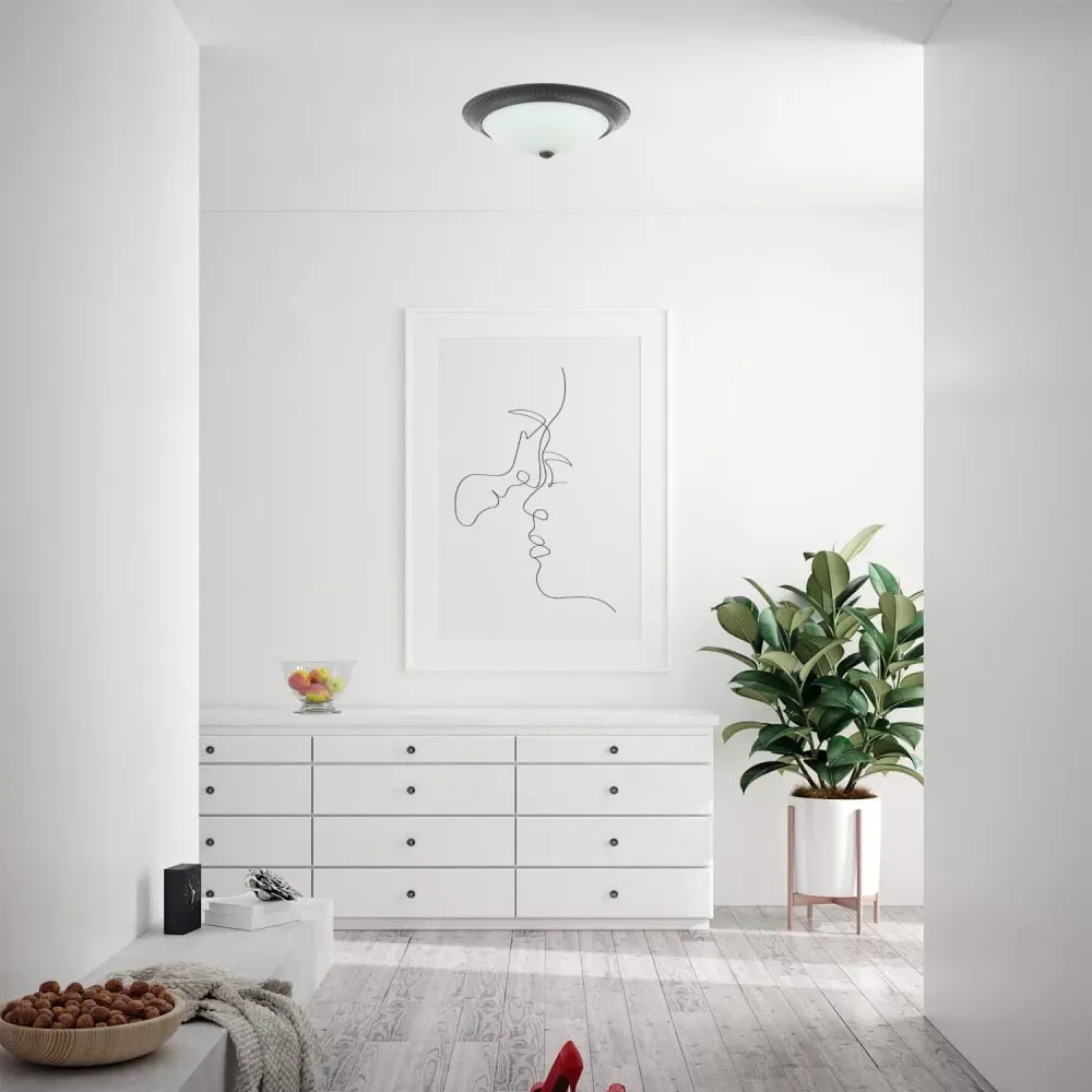 Flush Ceiling Light with Opal Glass Diffuser - Matt Black