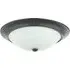 Flush Ceiling Light with Opal Glass Diffuser - Matt Black