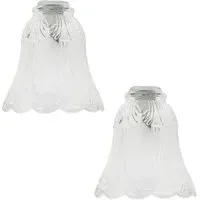 Frosted Floral Glass Shade 2 Pack - White