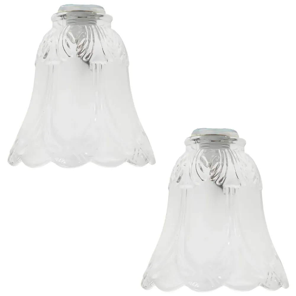 Frosted Floral Glass Shade 2 Pack - White image